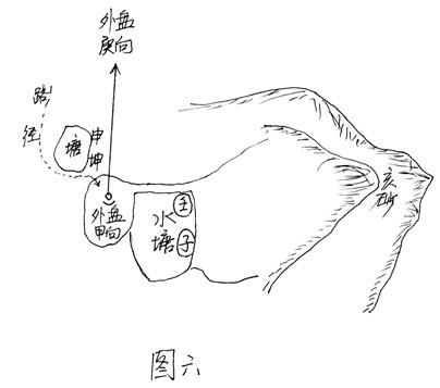 为何被捕？