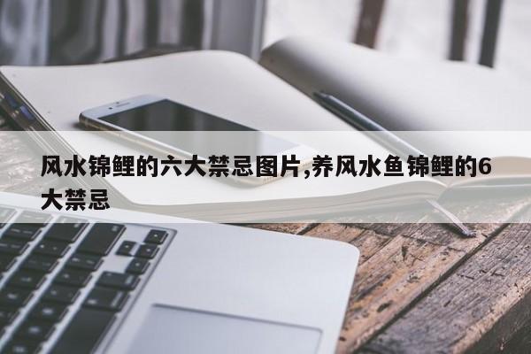 风水锦鲤的六大禁忌图片,养风水鱼锦鲤的6大禁忌