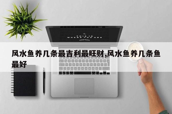 风水鱼养几条最吉利最旺财,风水鱼养几条鱼最好