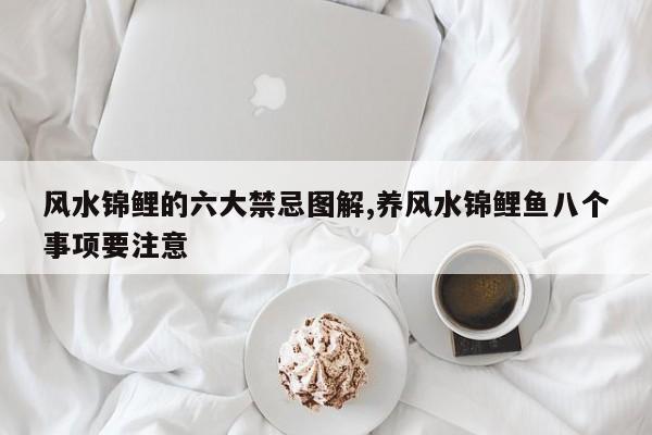 风水锦鲤的六大禁忌图解,养风水锦鲤鱼八个事项要注意