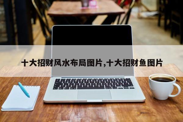 十大招财风水布局图片,十大招财鱼图片